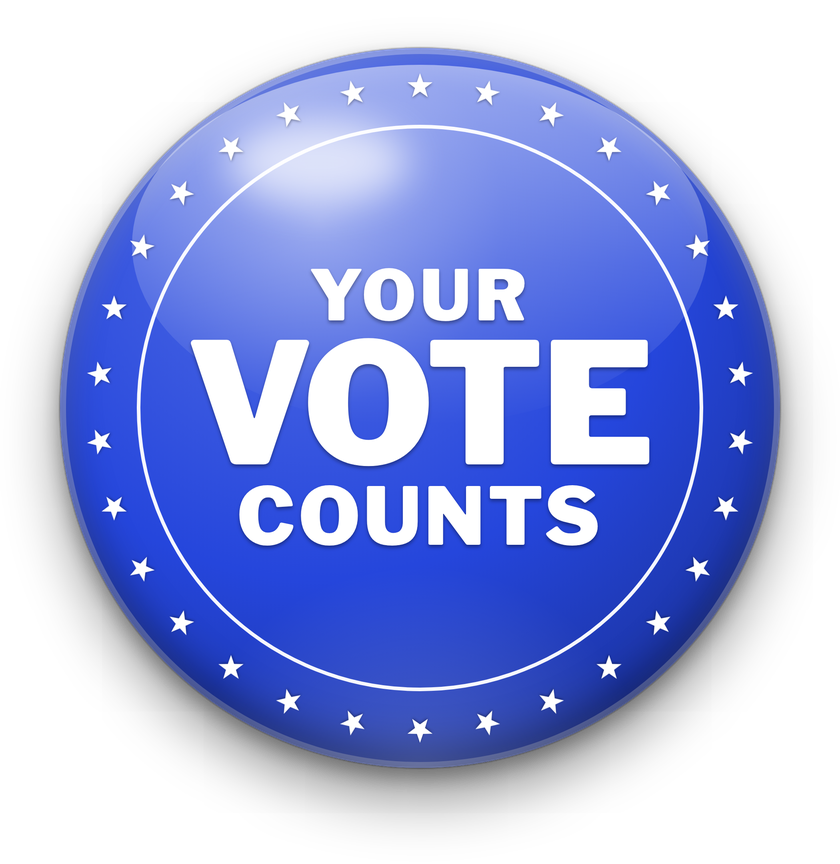 Vote Blue campaign pin